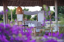 Diamonds Star of the East