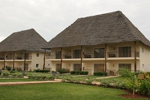 Diamonds Dream of Zanzibar