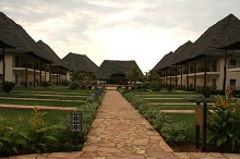 Diamonds Dream of Zanzibar