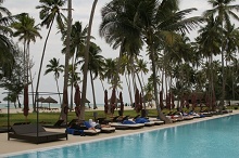 Diamonds Dream of Zanzibar