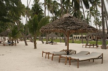 Diamonds Dream of Zanzibar