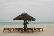 Diamonds Dream of Zanzibar