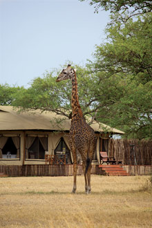 Singita Sabora Tented Camp