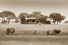 Singita Sabora Tented Camp