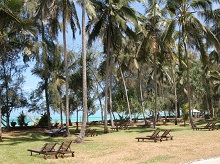 Bluebay Beach Resort