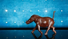 Serengeti Sopa Lodge