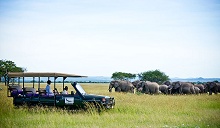 Grumeti Serengeti Tented Camp