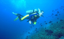 Sandy Beach Hotel & Resort