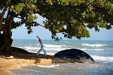 Le Meridien Khao Lak Beach & Spa Resort