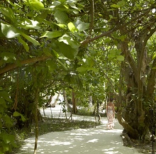 Dusit Thani Maldives