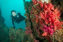 The Taaras Beach & Spa Resort