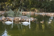 Chateau de la Messardiere