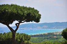 Chateau de la Messardiere