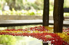 Le Meridien Fisherman's Cove