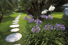 Grand Hotel del Mare (Бордигера)