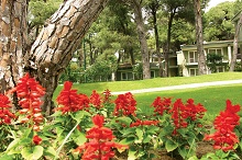 Maritim Pine Beach Resort Belek