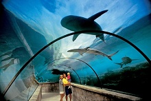 Atlantis Paradise Island Resort - Royal Towers