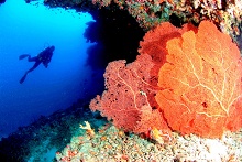 Anantara Veli Resort & Spa Maldives