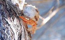 Oblu by Atmosphere at Helengeli(ex.Helengeli Island Resort)