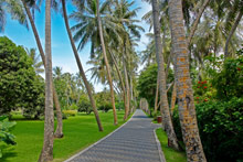 Sun Island Resort & Spa