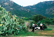 Forte Village Resort