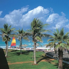 Lou Lou A Beach Resort