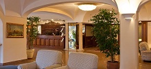 Hotel Continental Ischia(ex.Continental Terme)
