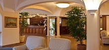 Hotel Continental Ischia(ex.Continental Terme)