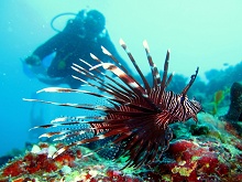 Eriyadu Island Resort