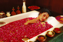 Ananda in the Himalayas