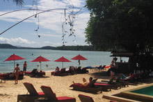 The Village Coconut Island