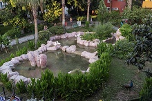 Armas Green Fugla Beach