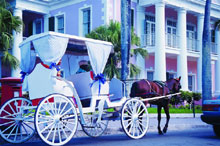 Sheraton Nassau Beach Resort