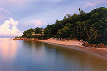 Coco de Mer Hotel & Black Parrot Suites(ex.Coco de Mer)