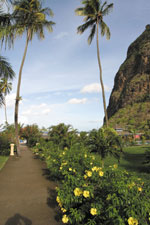 The Jalousie Plantation