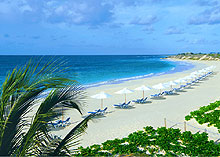 CuisinArt Resort & Spa