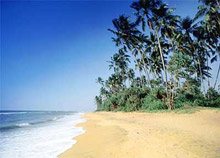 Hibiscus Beach Hotel & Villas