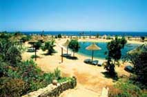 Royal Paradise Resort