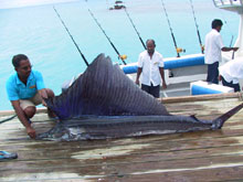 The Hilton Seychelles Northolme Resort & Spa(ex.Hilton Northolme Hotel & Spa)