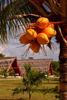 La Digue Island Lodge