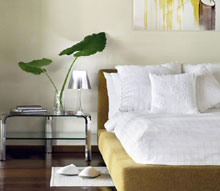 The Rania Experience