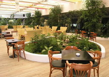 Washington Resort & Spa