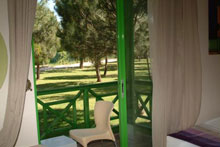 Green Max(ex.Chervo Club Sirene)