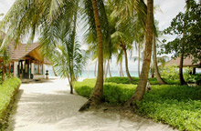 Palm Beach Resort & Spa Maldives