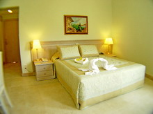 Castle Resort Spa Hotel Sarigerme(ex.Alinn Sarigerme Boutique)