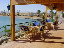Desert Rose Resort
