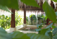 Conrad Maldives Rangali Island