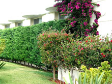 MAREBLUE BEACH 4* (ex.Blue Bay Escape Resort)