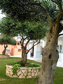 MAREBLUE BEACH 4* (ex.Blue Bay Escape Resort)