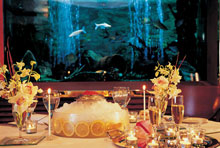 Divani Apollon Palace & Thalasso